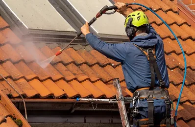 Démoussage et hydrofuge de toiture à Rougnac